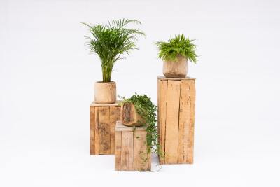Pakket trio urban wood + zuilen